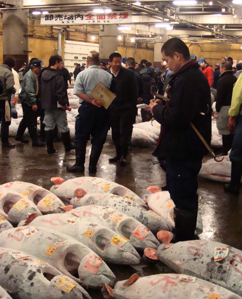 {wordless wednesday} Tsukiji Tuna Auction in Tokyo, Japan - off the ...