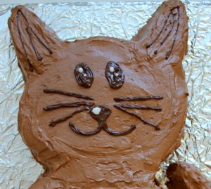 How to Make an Easy Cat Cake